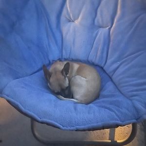 Meet your Posher, Jack